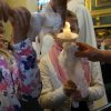 dsc02307